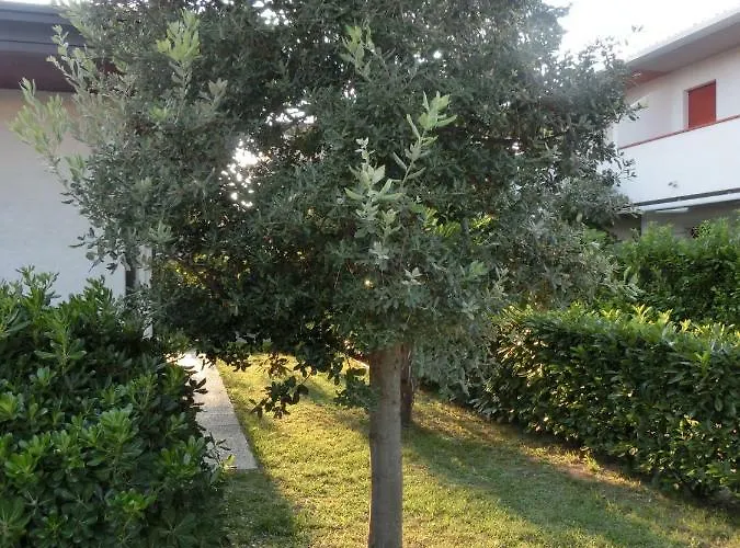 Apartamento Federica *